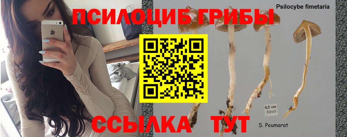 Галлюциногенные грибы мухоморы Глазов